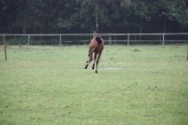 big_29401568_0_210-140