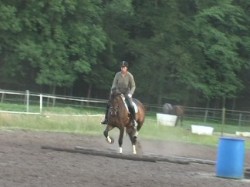 Stangenarbeit
