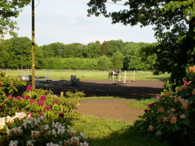 Ruhiges Reiten auf dem Breliendamm